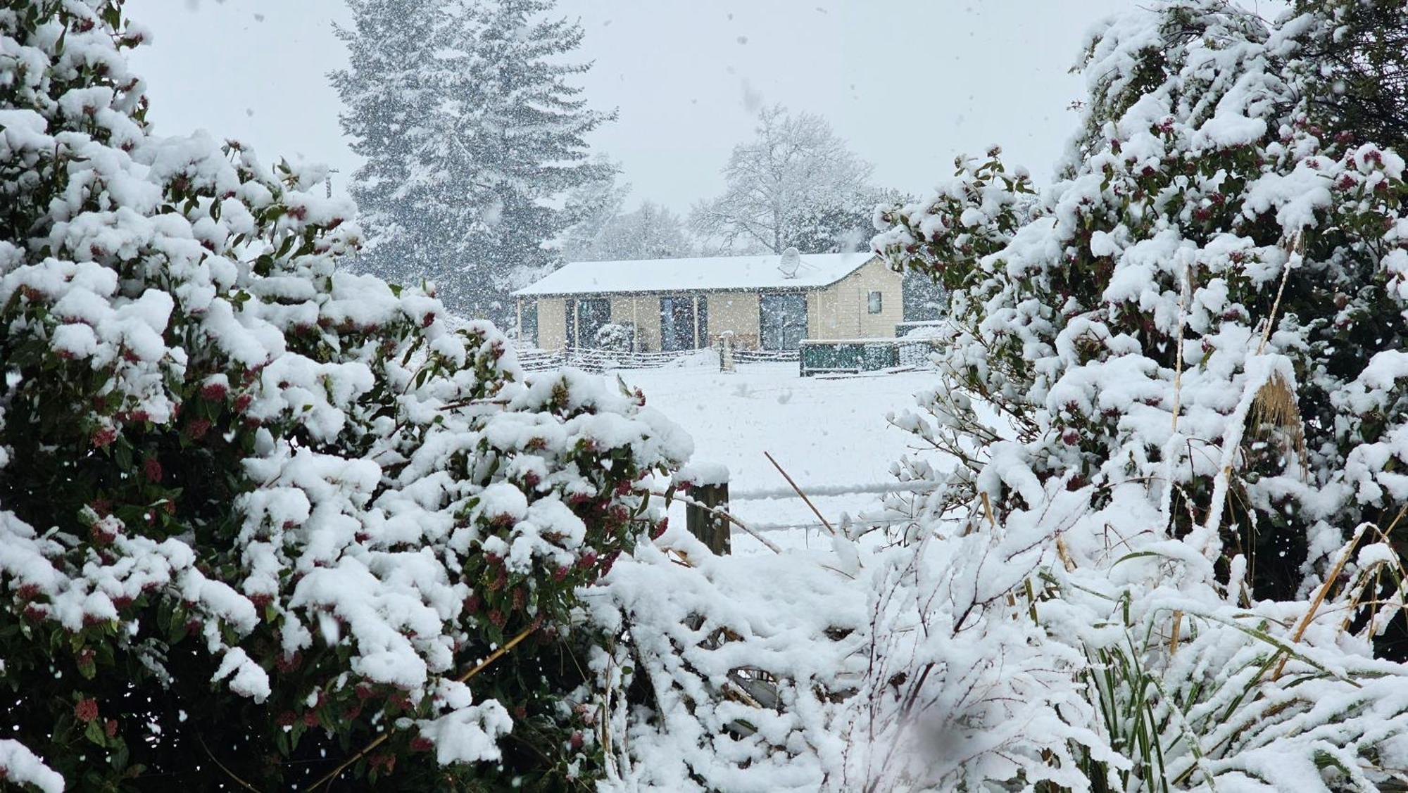 Bahara Accommodation Σπρίνγκφιλντ Εξωτερικό φωτογραφία